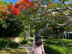 -三亚亚龙湾万豪度假酒店