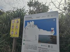 -杨梅坑
