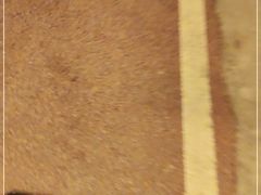 -云里小坐·小院里·团建·宴请·下午茶(三圣乡店)