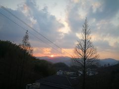 -四明山国家森林公园