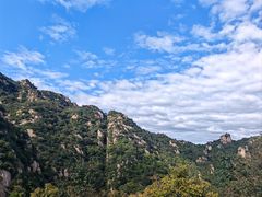 -大岭沟猕猴桃谷风景区
