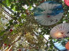 -海韵人家.海景花园经典云南菜(双廊店)