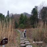 木王山四海坪景区