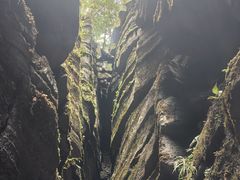 -梭布垭石林景区