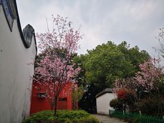 -乌山风景区