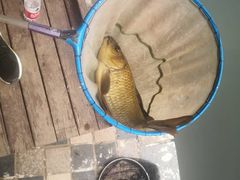 -酷鱼垂钓CLUB(朝阳区博大路店 )