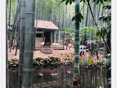 -天目湖御水温泉·度假酒店