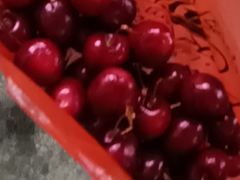 -新鸿港水果市场