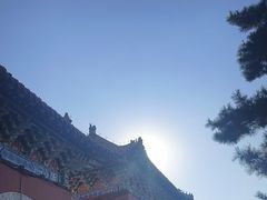 -北陵公园