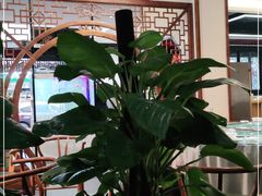 -名善山珍·野生菌汤锅(文殊院店)