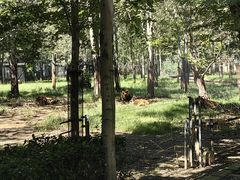 -秦皇岛野生动物园