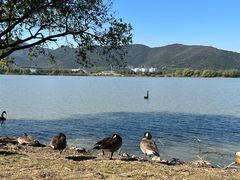 -长兴太湖图影湿地文化园