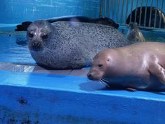 -青岛海底世界-水族馆