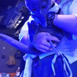 -BBVR团建聚会体验馆·亲子DIY手工