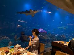 -海棠湾洲际-涛·海底餐厅·美人鱼·自助餐·海底隧道