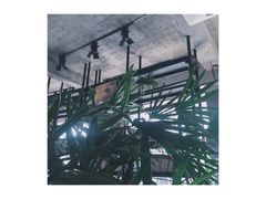 -太麻里文创咖啡馆(创意设计中心店)