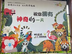 -呀诺达热带雨林
