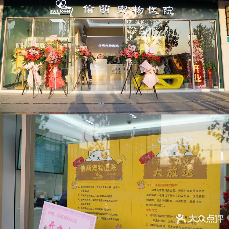 上海宠物医院良心推荐！！！！！！