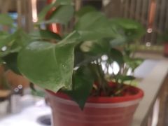 -韩宫宴和牛烤肉(合肥滨湖银泰城店)