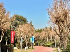 -城市运动公园(未央区)