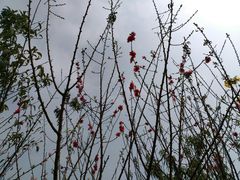 -维纳斯KTV(荣兴广场店)