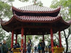 -金鸡山公园
