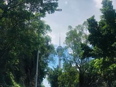 -澳门旅游塔360°旋转餐厅(南湾湖广场店)