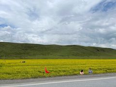 -青海湖国家重点风景名胜区