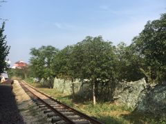 -武汉紫薇都市田园