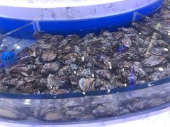-澜悦港海鲜体验主题餐厅