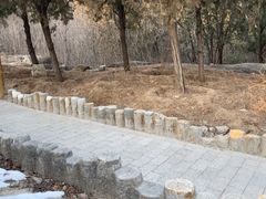 -白水寺森林公园