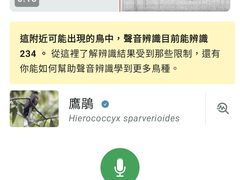 -合肥滨湖国家森林公园