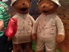 -济州岛泰迪熊博物馆