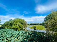 -北京麋鹿生态实验中心