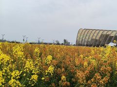 -中国天府农业博览园