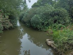 -上海滨江森林公园