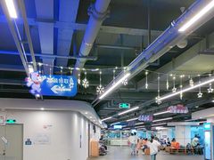 -世界之窗阿尔卑斯冰雪世界