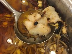 -红京鱼(西坝河店)