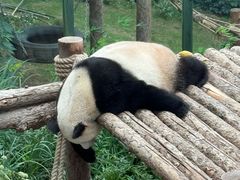 -大连森林动物园