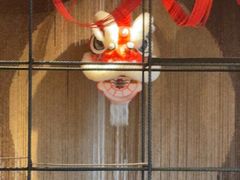 -扬州狮子楼·非遗淮扬菜(东关街店)