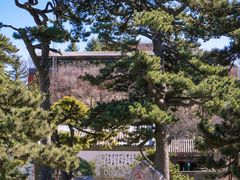 -妙峰山风景名胜区