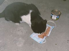 -陈光记烧腊(长寿路店)