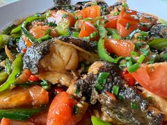 -生态苑农庄(十里画廊遇龙河店)