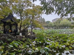 -荷风细雨·中国茶宴(碧云店)