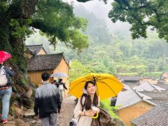 -杨家堂村