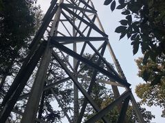 -缙云山景区