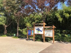 -新江湾城公园