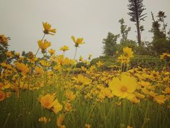 -尚贤河湿地