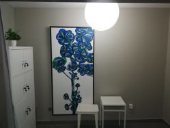 -奈瑞儿美颜塑身SPA