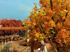 -Blue Concept Cafe&Farm·關於藍